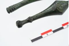 Foto von Bronzenadelspitzenschoner (NHMW-PRAE-025394)